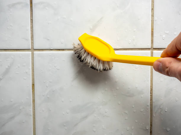 Best Certified Mold Removal  in Saratoga Springs, UT