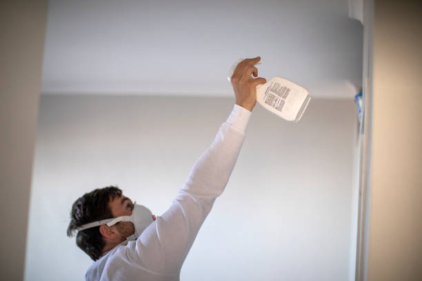 Best Affordable Mold Removal  in Saratoga Springs, UT