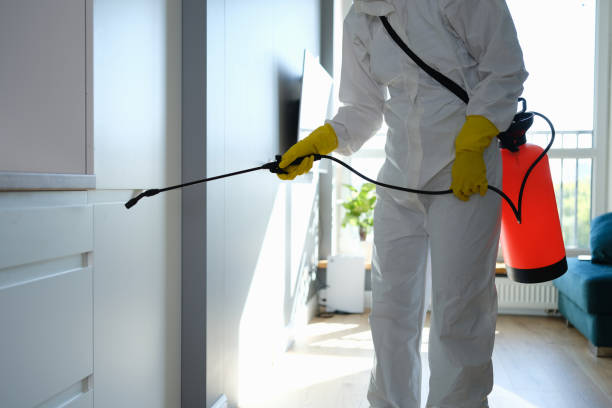 Certified Mold Removal in Saratoga Springs, UT